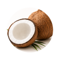Coconut