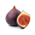 Fig