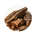 Woods