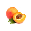 Apricot