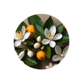 Orange Blossom