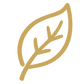 Clean Ingredients