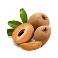 Sapodilla Accord
