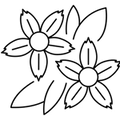 Saffon